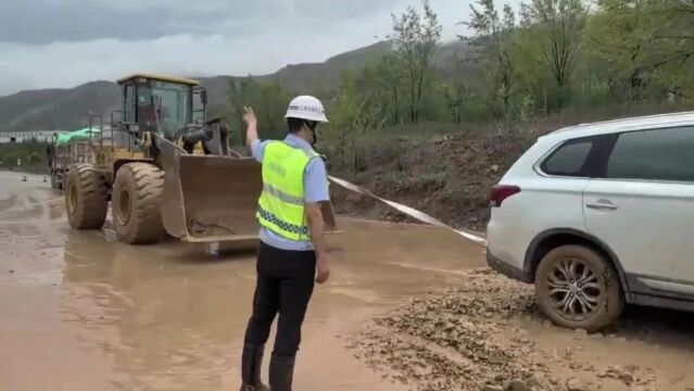 田阳车祸新闻背后的故事,自然美景治愈之旅揭秘