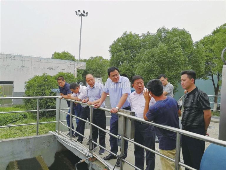 丹阳市环保局新班子与小巷绿意揭秘