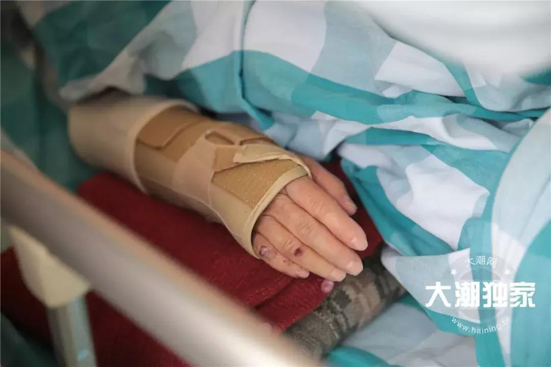 浙江海宁车祸最新消息,自然美景之旅寻求内心宁静与平和