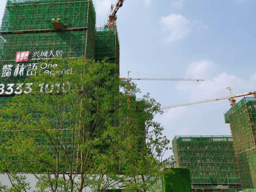 邯郸梧桐林语最新动态更新