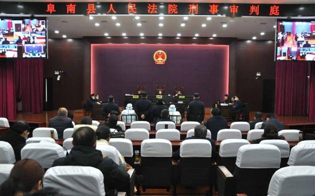 阜南骆桂新最新动态更新