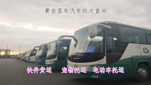 乳山公交车最新时间表,小巷美食天堂的秘密之旅启程探索!