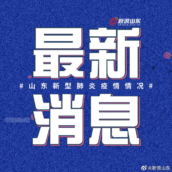 中国山东新冠疫情最新动态与应对指南,初学者与进阶用户的步骤指南