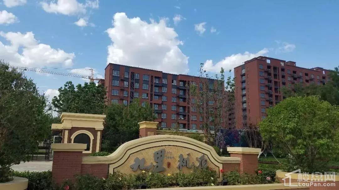 九里桃源最新房价揭秘,自然美景中的旅行探索之旅