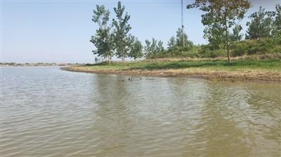 宿州大暴雨最新消息,城市动态、应对策略及影响综述