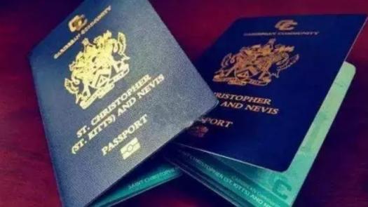圣基茨最新移民政策,探索与变迁的时代背景分析
