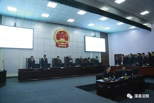 杨国全最新动态,成功背后的故事揭晓