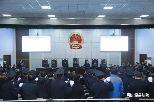 杨国全最新动态,成功背后的故事揭晓