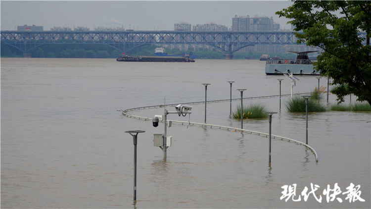 南京长江洪峰最新动态,防汛抗洪形势分析与应对策略揭秘