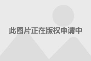张恒郑爽机场最新视频曝光,旅途中的温馨日常