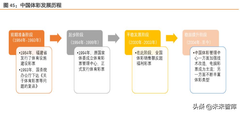 体育比赛种类概览