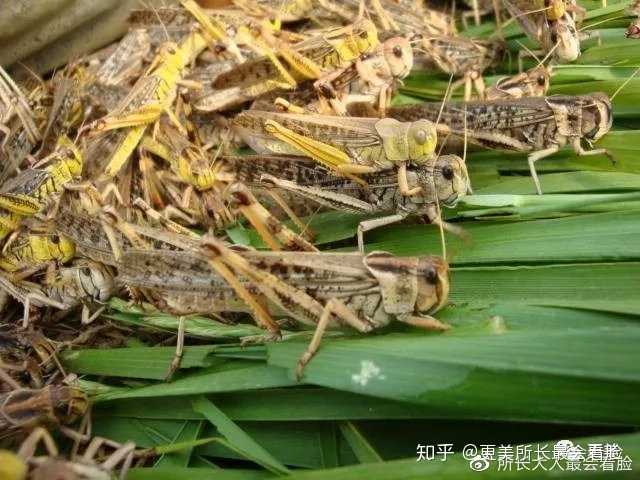 脱硫喷淋管 第166页