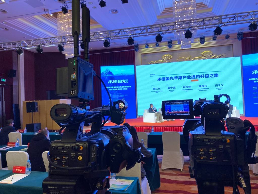 电视直播论坛,温馨日常的互动与交流