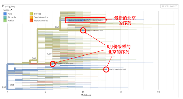 全球新冠病毒最新数据发布,疫情形势与应对策略揭秘