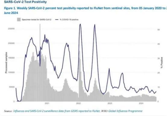 全球新冠病毒最新数据发布,疫情形势与应对策略揭秘