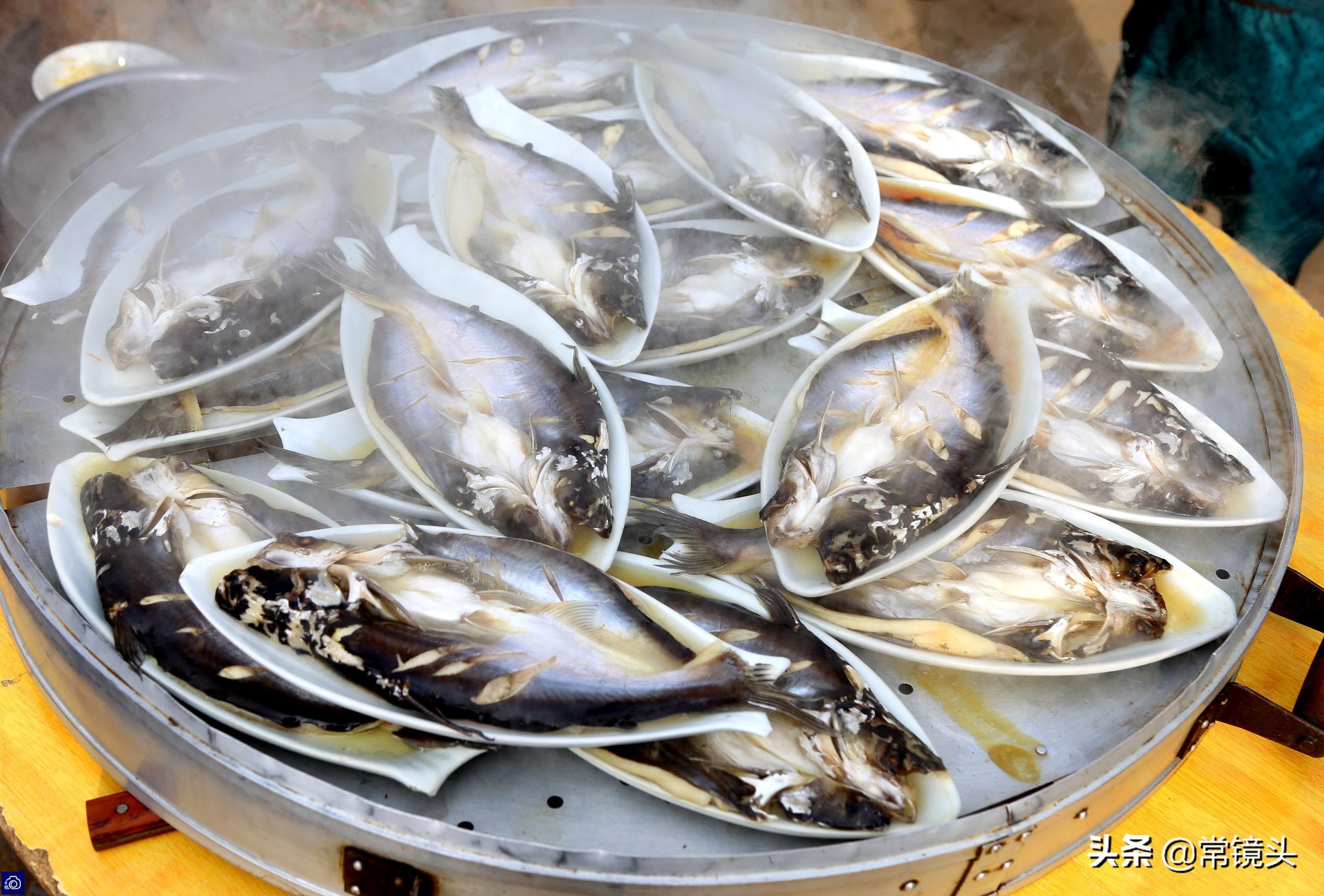 最新肘子价格,购买与选择的全面指南