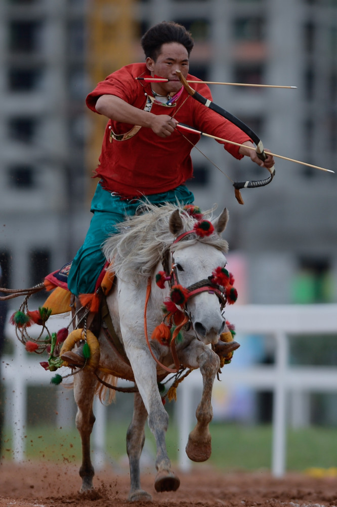 驾驭风云,箭指辉煌,骑马射箭比赛的励志篇章