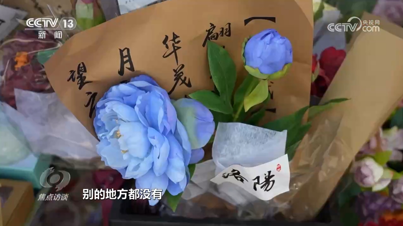 欣欣向荣作品集全新,欣欣向荣作品集全新制作步骤指南