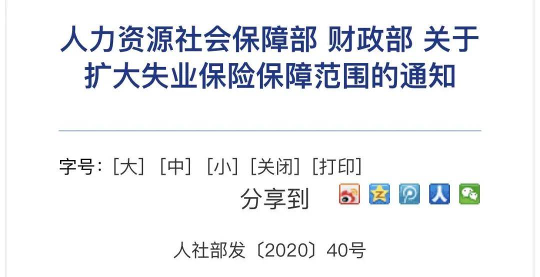 国家最新补助助力探索特色小店,小巷深处的独特风味之旅