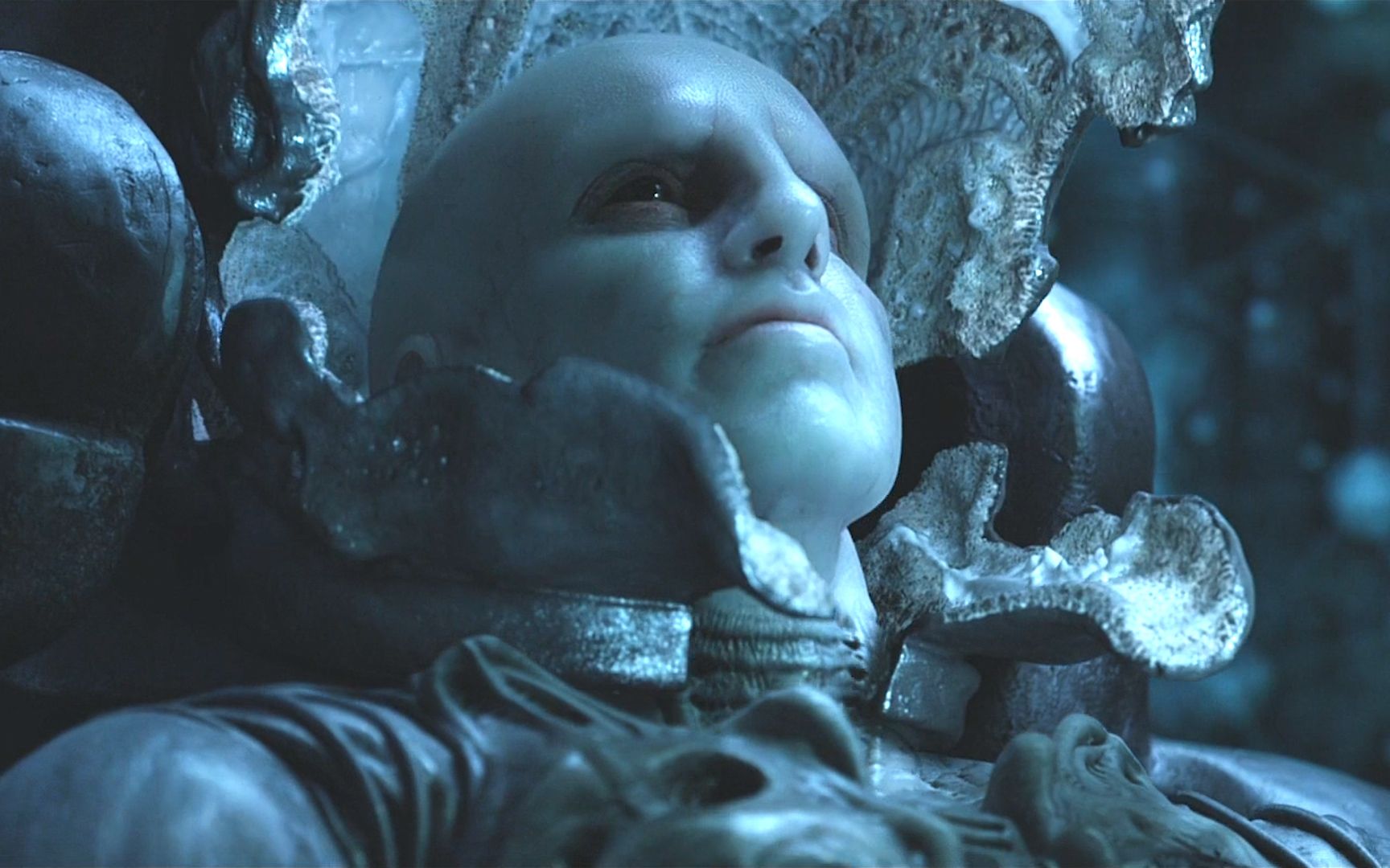 电影普罗米修斯,深度解析与探索之旅