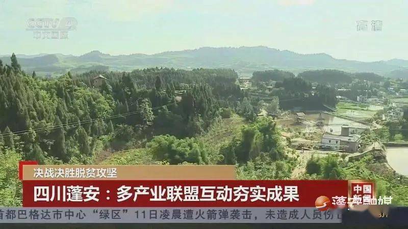 四川蓬安最新动态更新,蓬安最新资讯速递