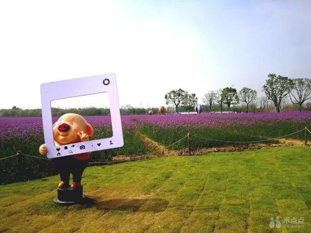 功夫之城演员列表/演员阵容揭秘