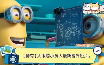 最新小黄短片，从变化中成长，自信铸就梦想之路