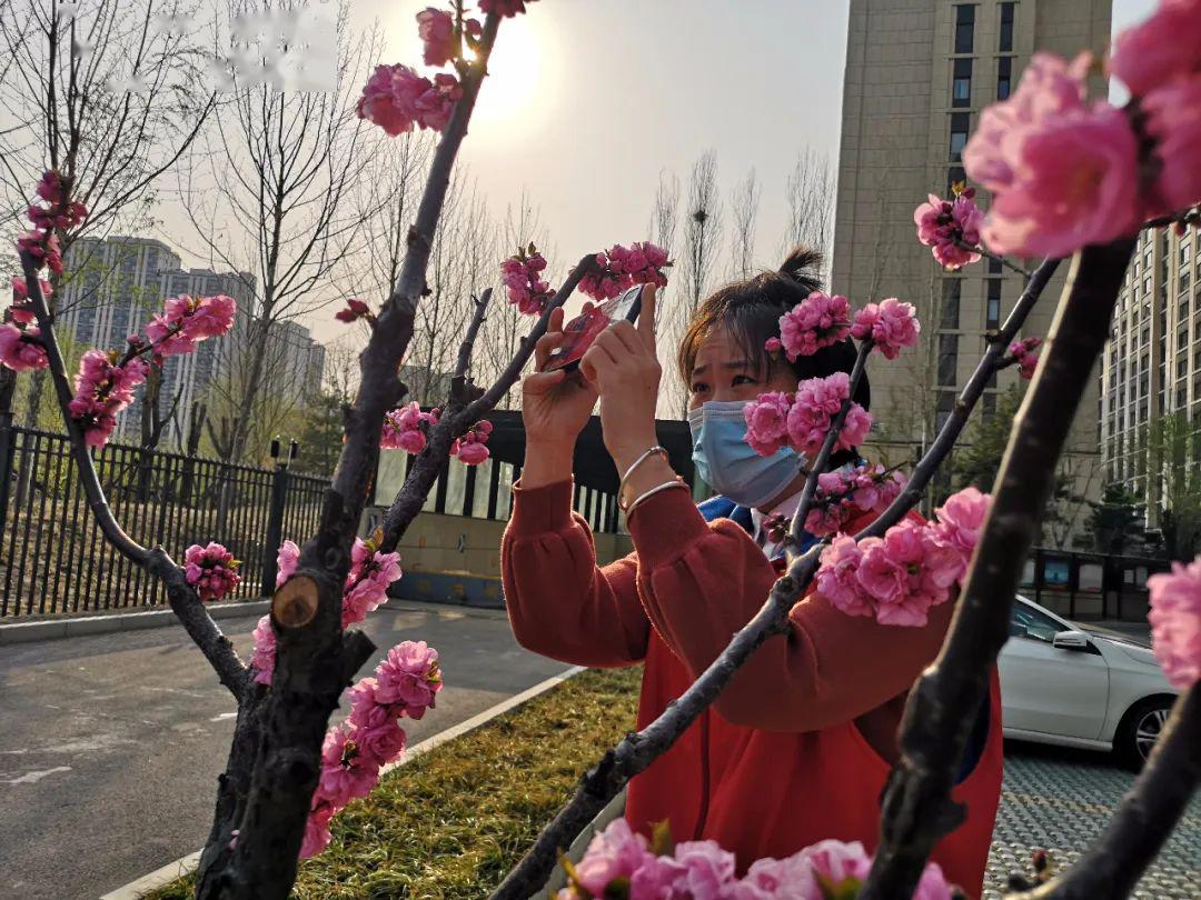 丁香疫情最新动态,疫情下的温馨日常