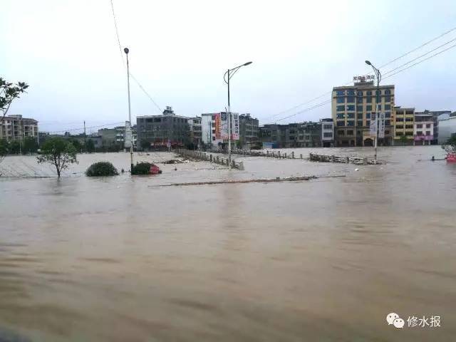 桐城最新洪灾深度解析与观点阐述