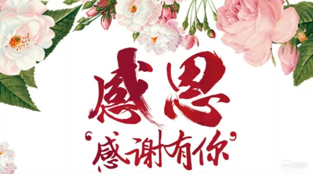 探索时尚前沿的独特魅力,夏晚安最新风采展示