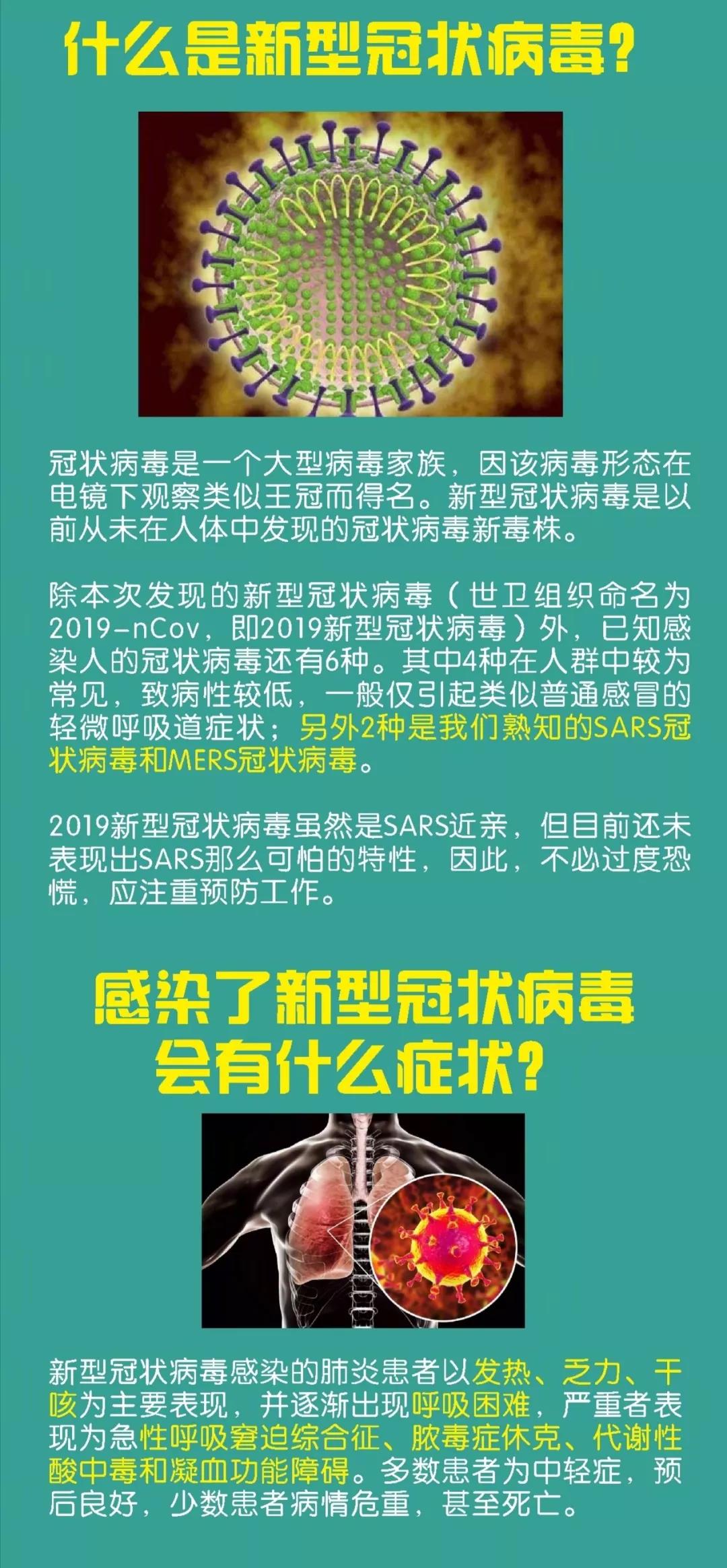 新型冠最新动态与任务完成/技能学习详细步骤指南